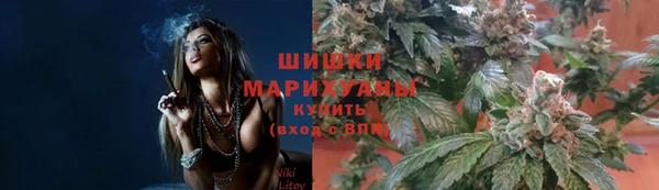 ПСИЛОЦИБИНОВЫЕ ГРИБЫ Ельня