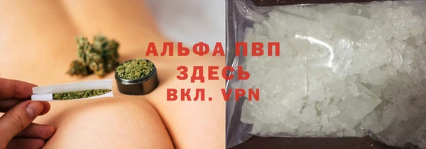 ПСИЛОЦИБИНОВЫЕ ГРИБЫ Ельня