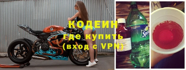ПСИЛОЦИБИНОВЫЕ ГРИБЫ Ельня