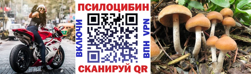 Галлюциногенные грибы Cubensis  гидра ссылки  Элиста  закладки 